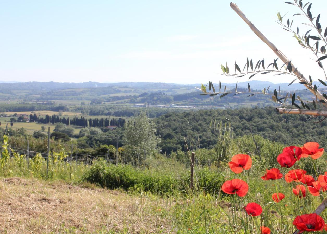 Tuscany Life Terricciola Zewnętrze zdjęcie